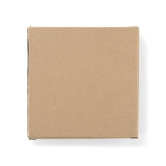 Meteostanice JUPITER