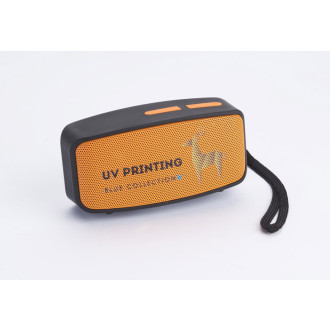 Bluetooth reproduktor TRAP