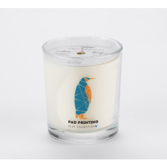 Sójová svíčka 170 g - Plum & Patchouli - VERA YOUNG