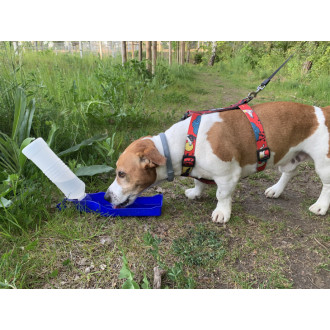 PET láhev MAX 500 ml