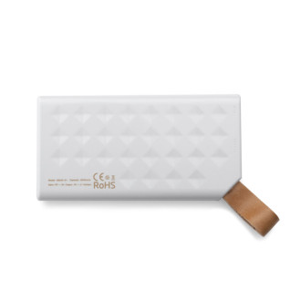 Power banka LEGEND 8000 mAh