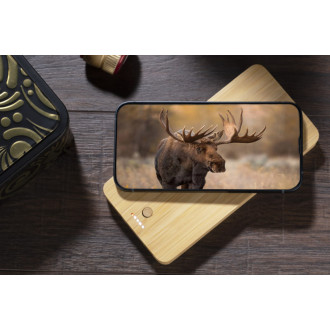 Power banka BORRA 10000 mAh