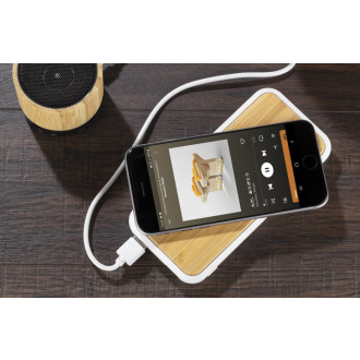 Power bank RONI 10000 mAh