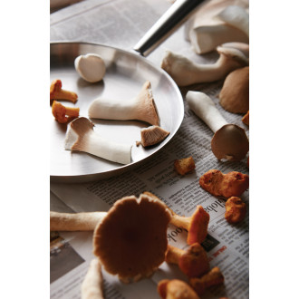 Pánev pro venkovní vaření VINGA Vici