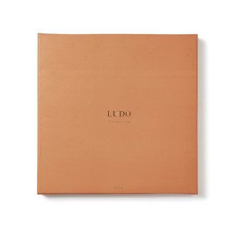 Desková hra VINGA Ludo