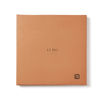 Desková hra VINGA Ludo