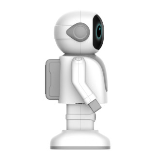 Robert the dancing robot