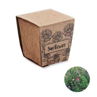 SUNFLOWER KIT, Sada na pěstování slunečnice