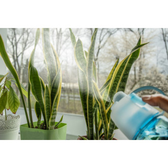 Lahvička s rozprašovačem SPRAY 600 ml