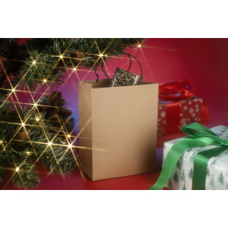 Papírový sáček PAKLO medium