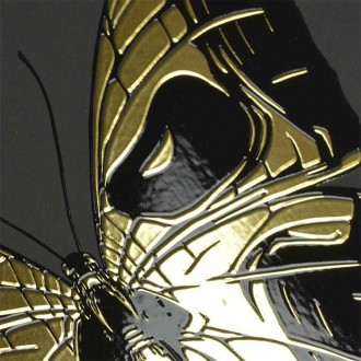 Motýl s Lebkou 3D Zlatý Obraz
