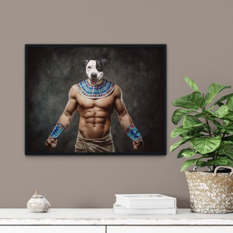 Portrét mazlíčka Anubis