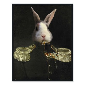 Portrét mazlíčka Tsar