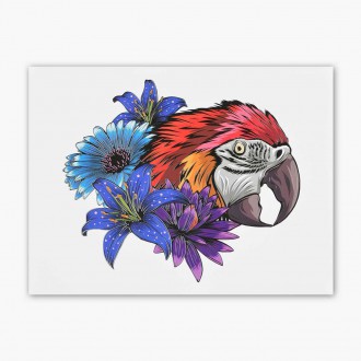 Papoušek 3D Plakát