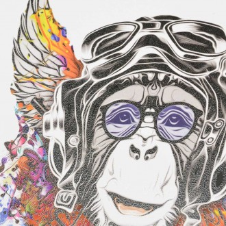 Opičí pilot 3D Plakát