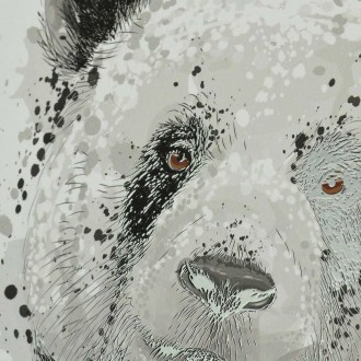 Portrét pandy 3D Plakát