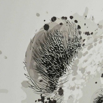 Portrét pandy 3D Plakát