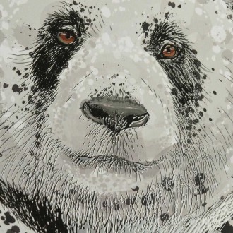 Portrét pandy 3D Plakát