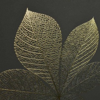 List 3D Zlatý Plakát