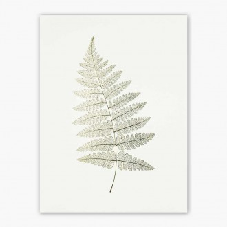 List 2 3D Zlatý Plakát