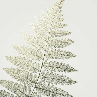 List 2 3D Zlatý Plakát