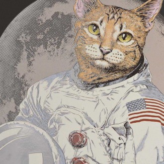 Kočka kosmonaut 3D Plakát