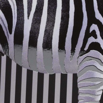 Zebra 3D Plakát