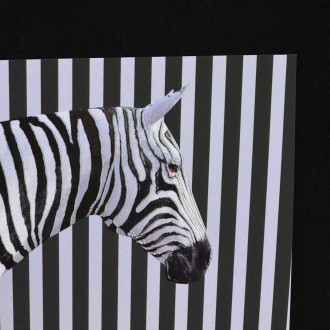 Zebra 3D Plakát