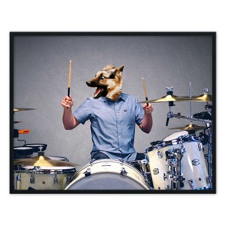 Portrét mazlíčka Drummer