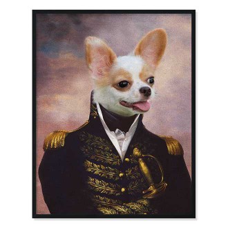 Portrét mazlíčka Admiral