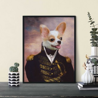 Portrét mazlíčka Admiral