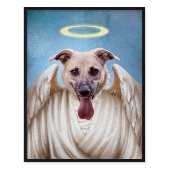 Portrét mazlíčka Angel