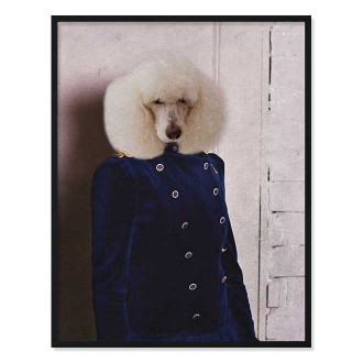 Portrét mazlíčka Antonie