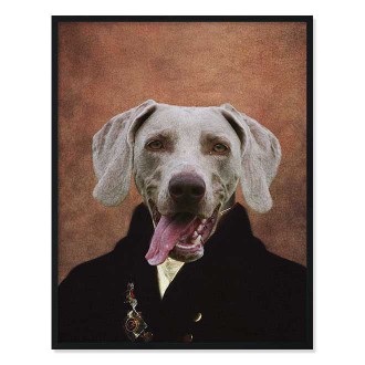 Portrét mazlíčka Mayor