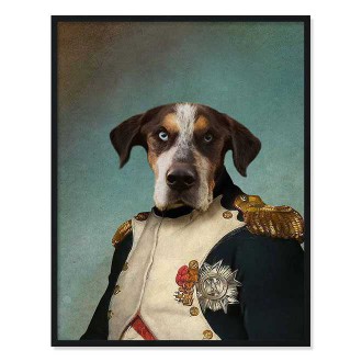 Portrét mazlíčka Frenchman