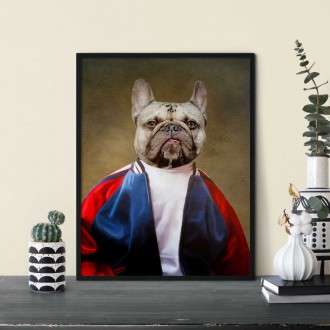 Portrét mazlíčka Jacket