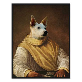 Portrét mazlíčka Monk