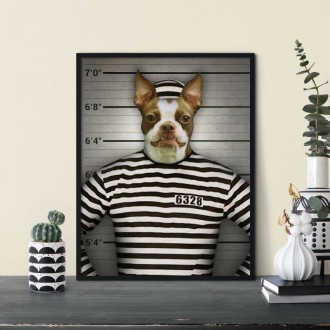 Portrét mazlíčka Prisoner