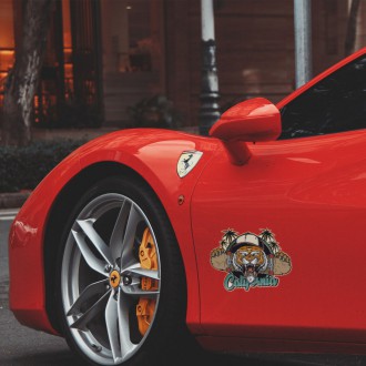 Sada samolepek Skate MGI057