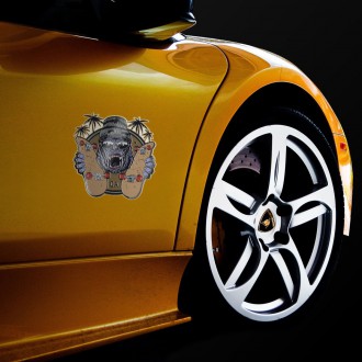 Sada samolepek Skate MGI058