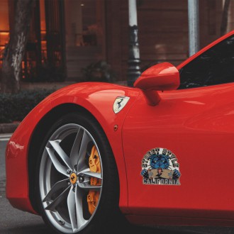 Sada samolepek Skate MGI060