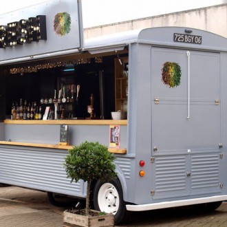 3D Samolepka Rastafariánský lev