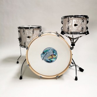 3D Samolepka Žralok se surfem