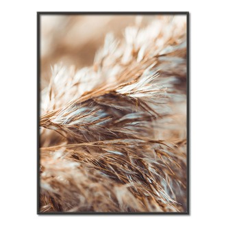 Sušená tráva Plakát