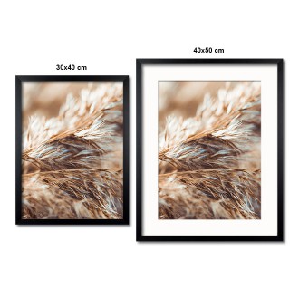 Sušená tráva Plakát