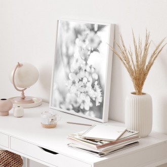 Třešňový květ Plakát