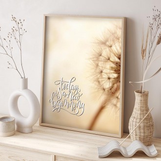 Koule se semínky pampelišky Plakát