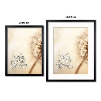 Koule se semínky pampelišky Plakát