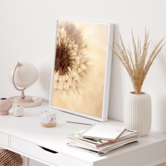 Koule se semínky pampelišky 2 Plakát