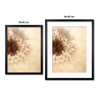 Koule se semínky pampelišky 2 Plakát